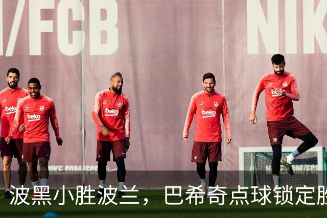 波黑小胜波兰，巴希奇点球锁定胜局